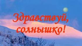 Хрустальный Деревья Цветут Под Новый Год Хрустальный Деревья Цветут Под Новый Год